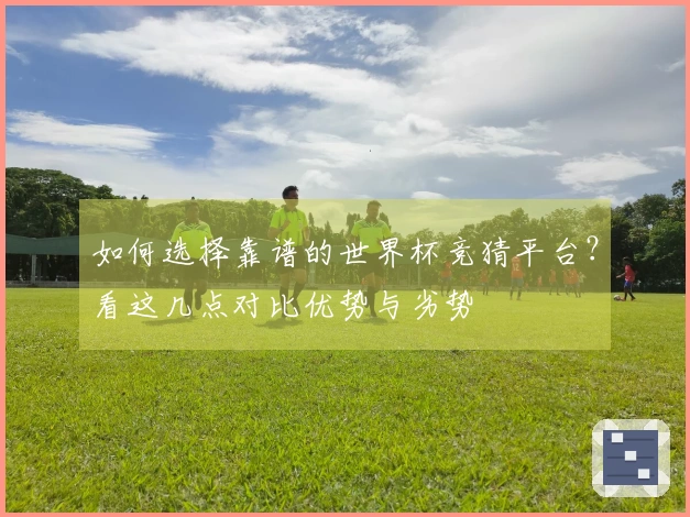 如何选择靠谱的世界杯竞猜平台？看这几点对比优势与劣势